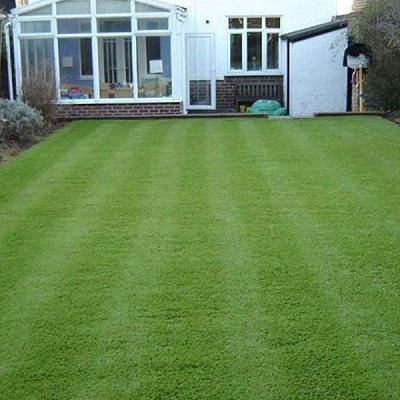 休闲草-庭院-人造草坪地毯